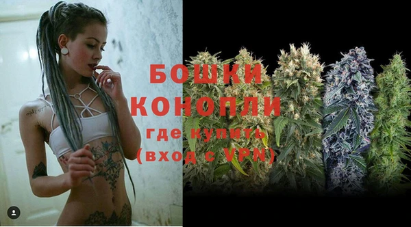молекула духа Няндома