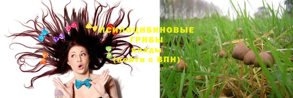 прущие грибы Лиски