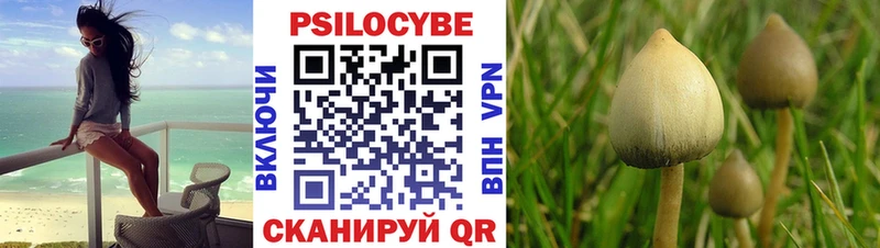 купить наркотики сайты  Тамбов  Псилоцибиновые грибы мицелий 