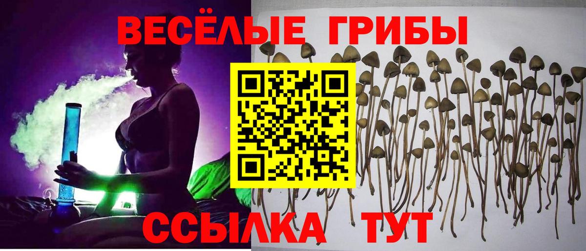 Галлюциногенные грибы ЛСД Тамбов