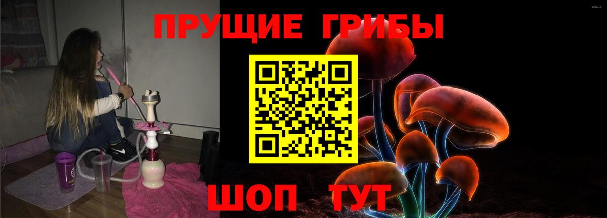 Тамбов  Псилоцибиновые грибы Psilocybine cubensis  Вход с VPN 